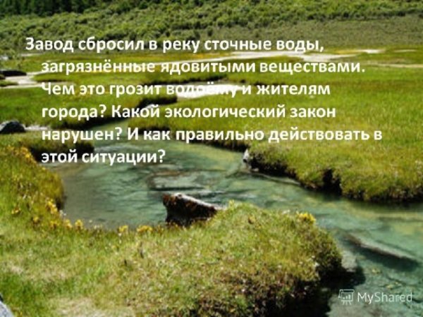Ошибки в жизни человека
