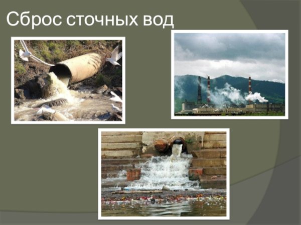 Природа в опасности