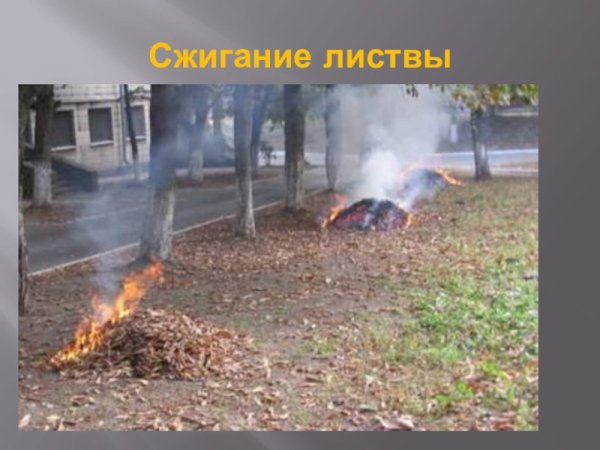 Загрязнение среды человеком