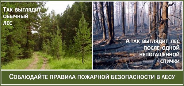 Загрязнение воды для детей