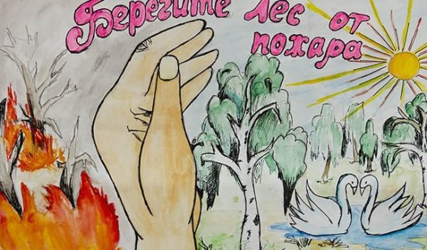 Лозунги про экологию
