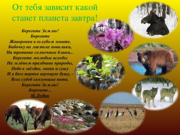Рисунок на тему Лесные пожары