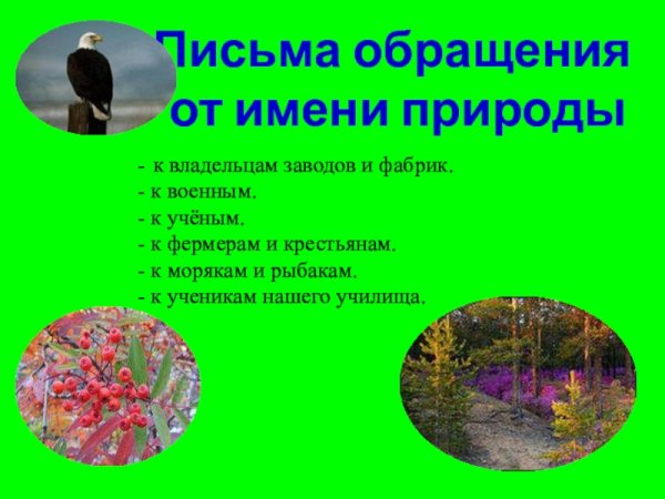 Природа не потворствует слабости и не прощает ошибок эссе
