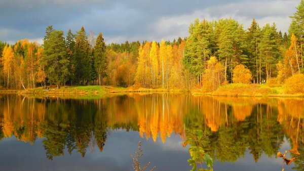 Природа осенью