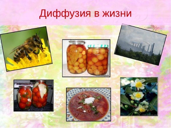 Примеры диффузии в жизни
