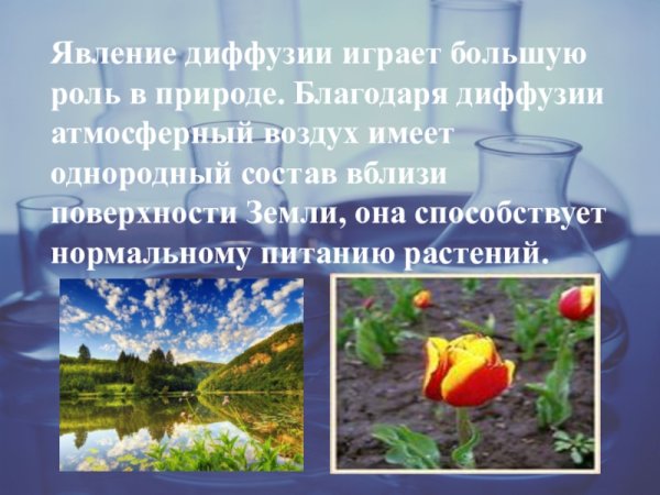 Диффузия в природе