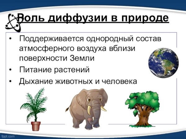 Диффузия в природе