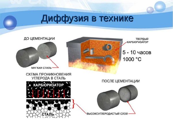Диффузия в природе