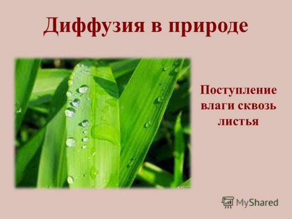 Диффузия в газах жидкостях и твердых телах
