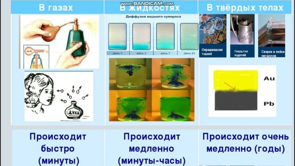 Диффузия в газах жидкостях и твердых