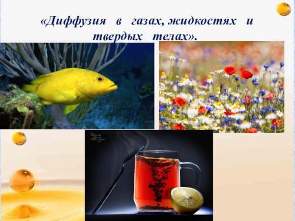 Примеры диффузии в природе