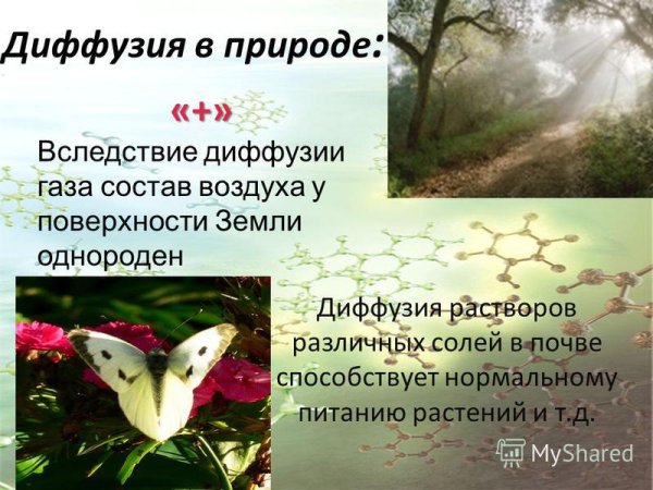 Диффузия в быту
