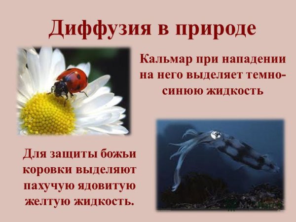 Процесс диффузии ускоряется