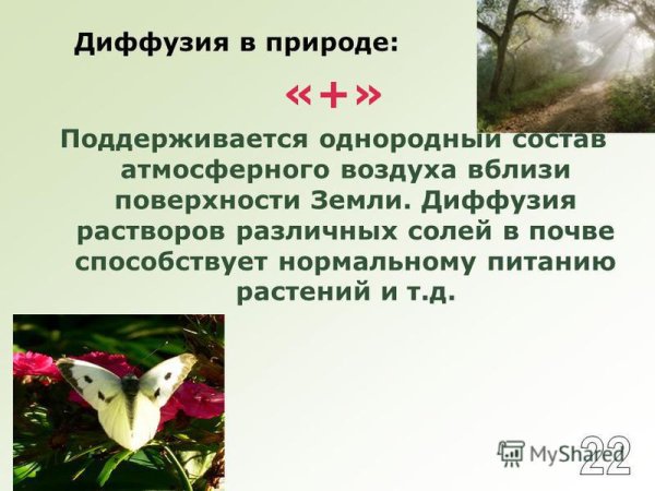 Диффузия в растениях