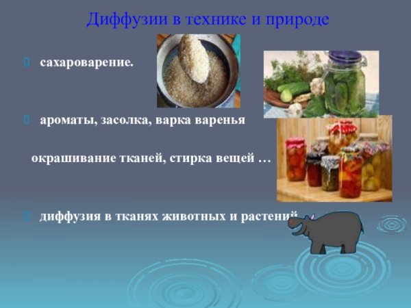 Диффузия в жизни растений и животных