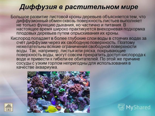 Диффузия в природе