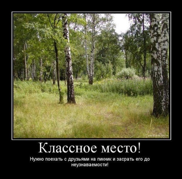 Медведь ночью в лесу