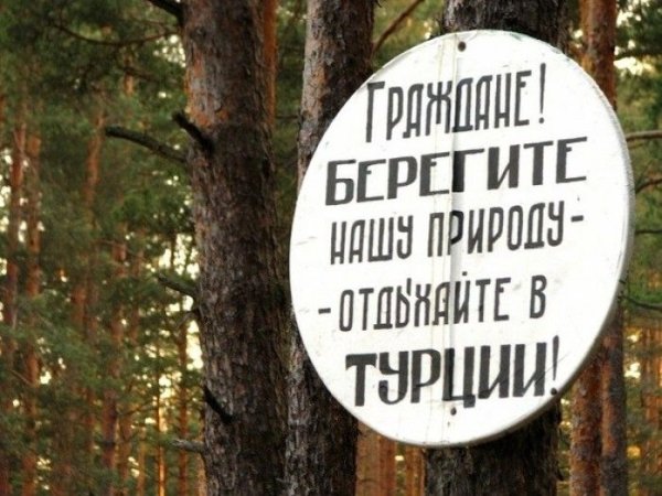 Обезьяна на мотоцикле