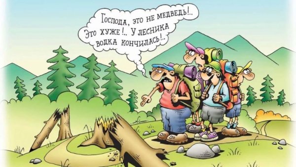 Забавные животные в лесу