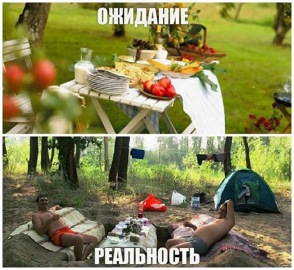 Забавное животное