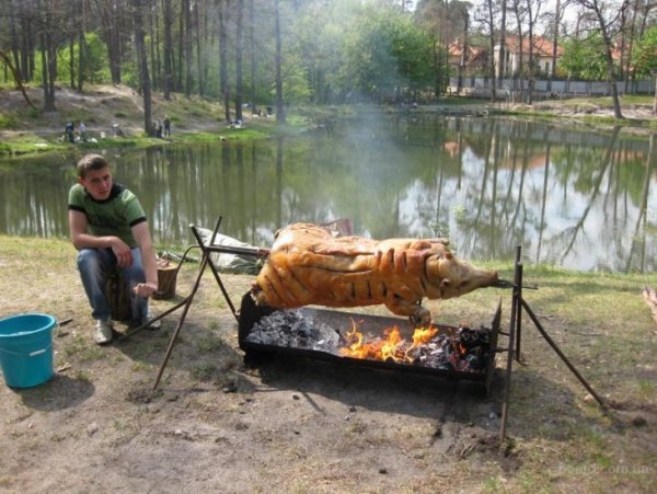 Очень много шашлыка