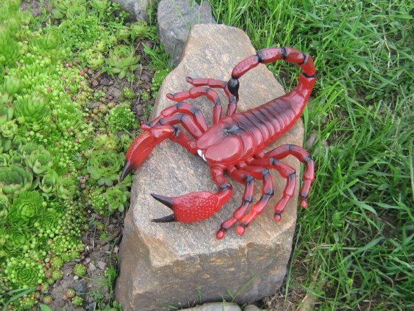 Красный Скорпион