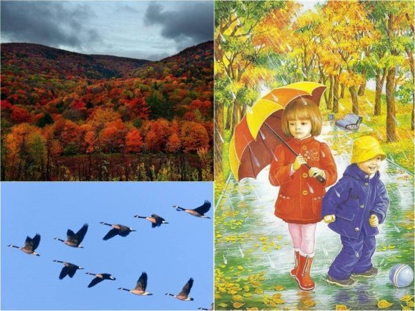 Осенний пейзаж для дошкольников