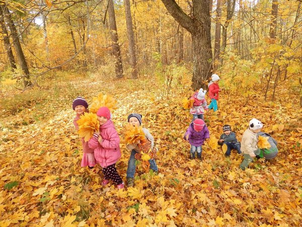 Осенний пейзаж вектор