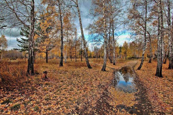 Пейзаж осени