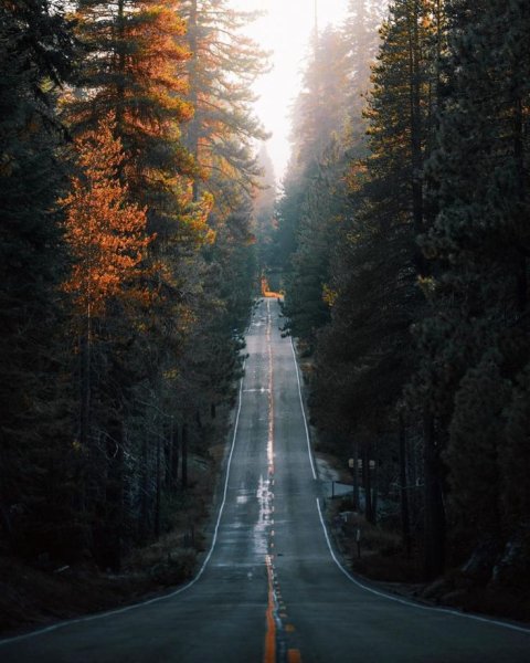Красивый пейзаж