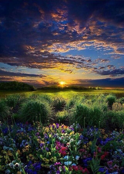 Красивая природа