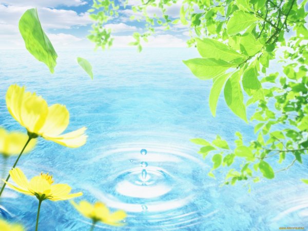 Фон для презентации вода