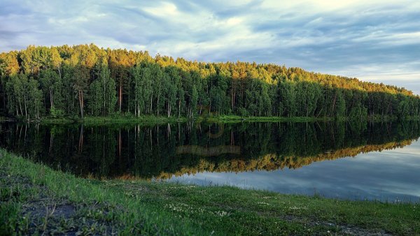 Природа Тюменского района