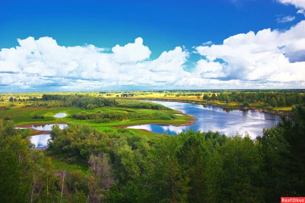 Природа Тюменской области река тура