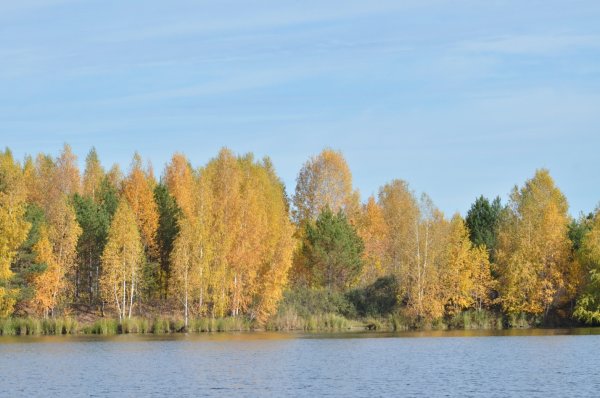 Река Вагай Тюменская область