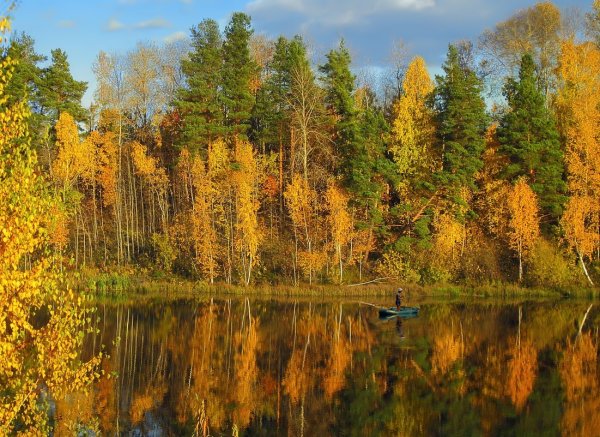 Сибирь Тюмень природа