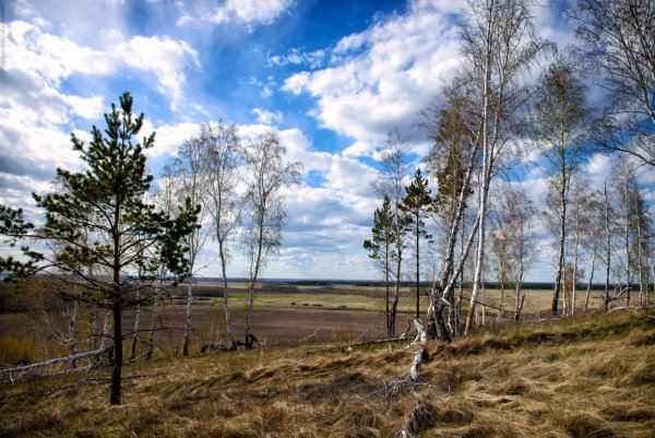 Сибирь Тюмень природа