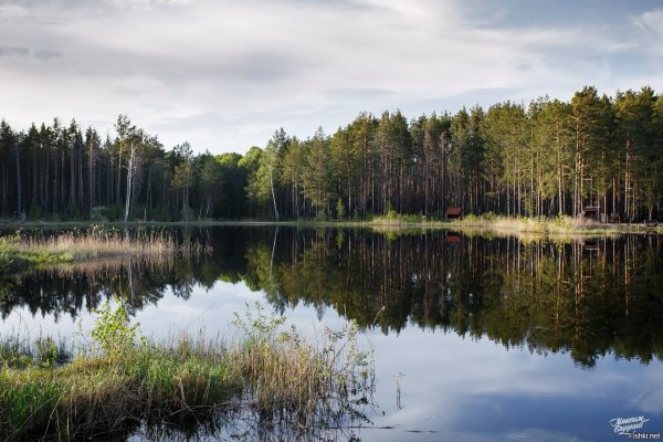 Сибирь Тюмень природа