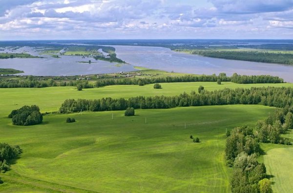 Природа Тюменского района равнинная