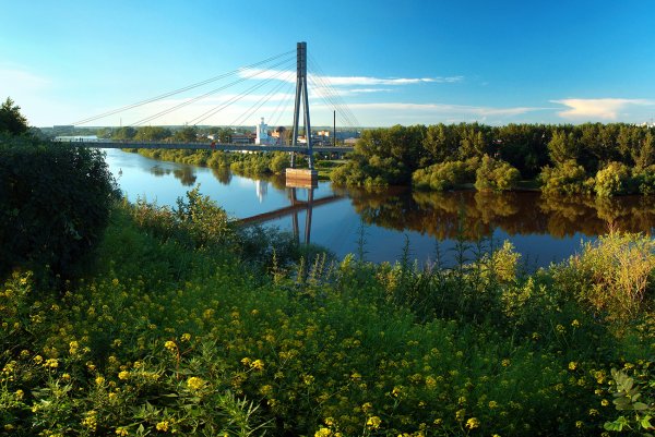 Река тура Тюменская область