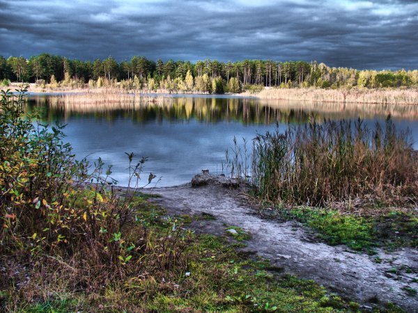 Сибирь Тюмень природа