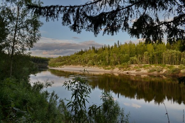 Река Демьянка Тюменская область