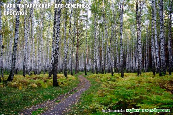 Парк Гагарина Тюмень