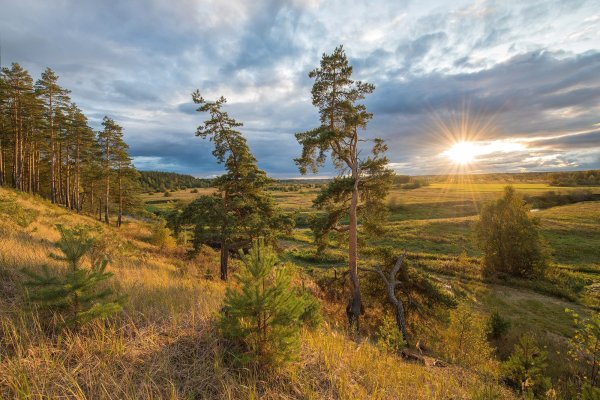 Природа Тюменской области