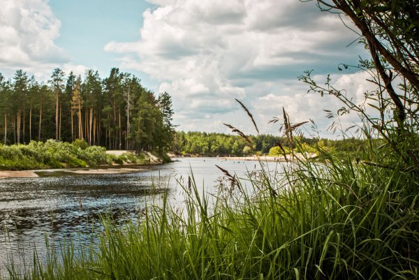 Керженец Нижегородская