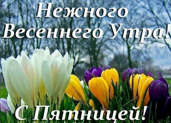 Весна животные