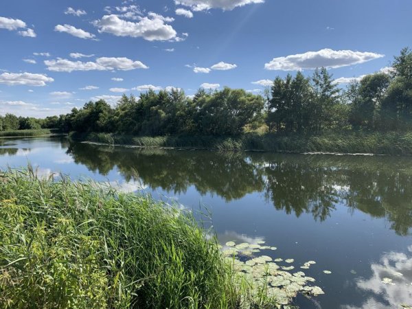 Тамбов природа