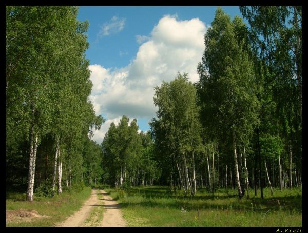 Природа Тамбовской обл