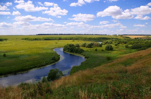 Воронинский заповедник Тамбовской
