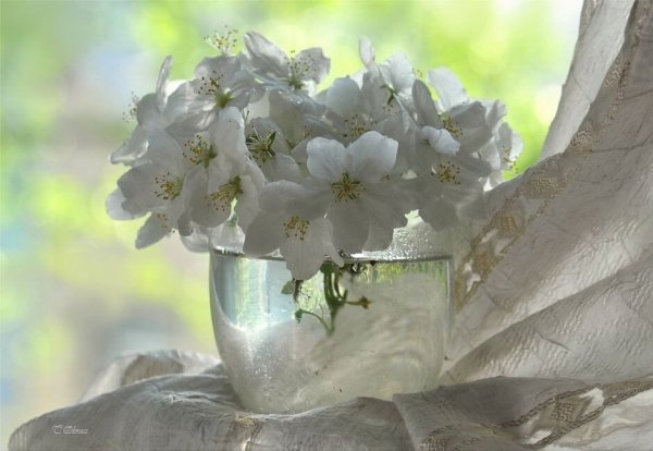 Красивая природа рассвет